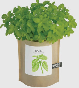 Basil in a Bag Grow Kit
