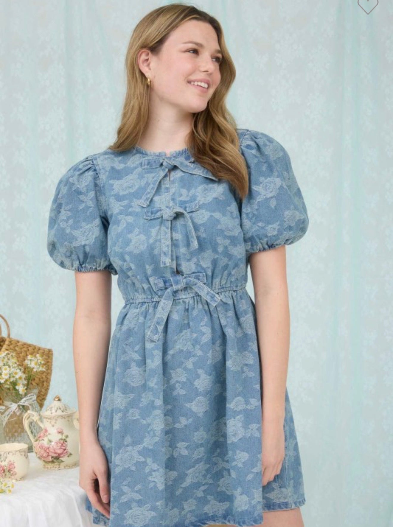 Rose Pattern Denim Dress