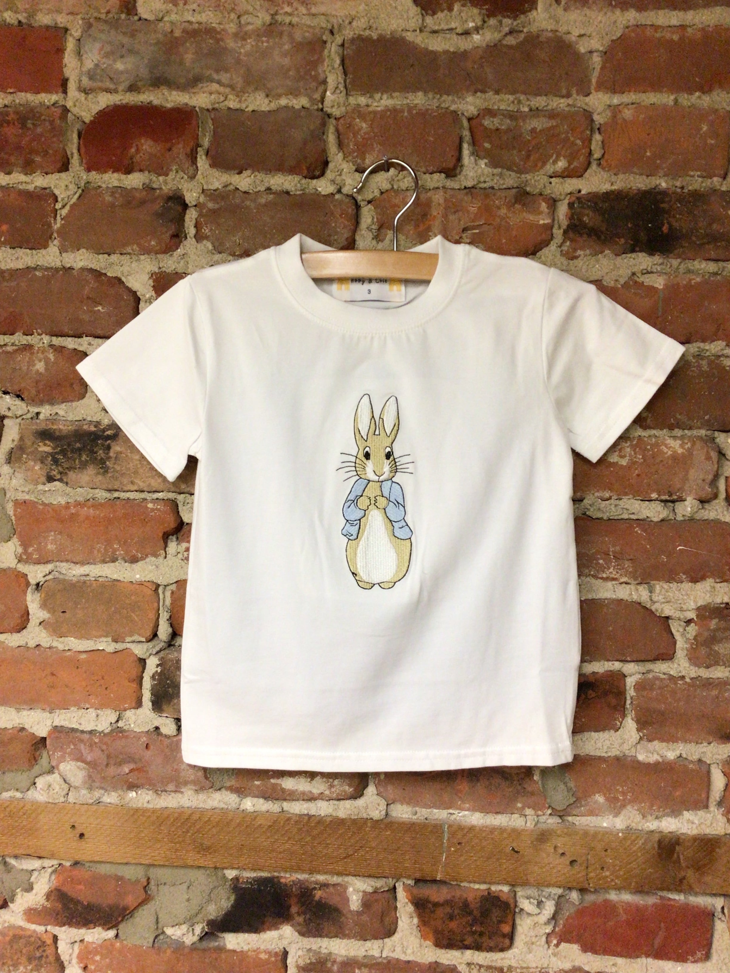 Boys Bunny Tee and Shorts Set