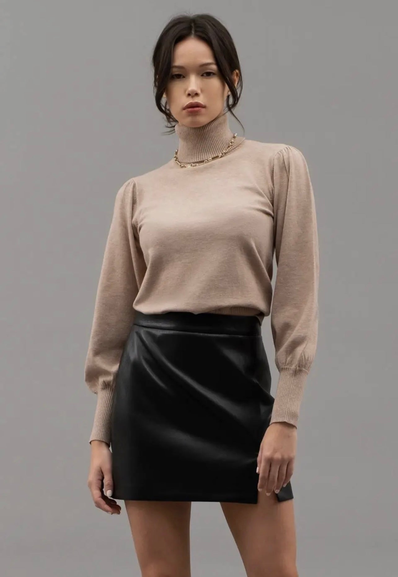 Taupe Turtleneck