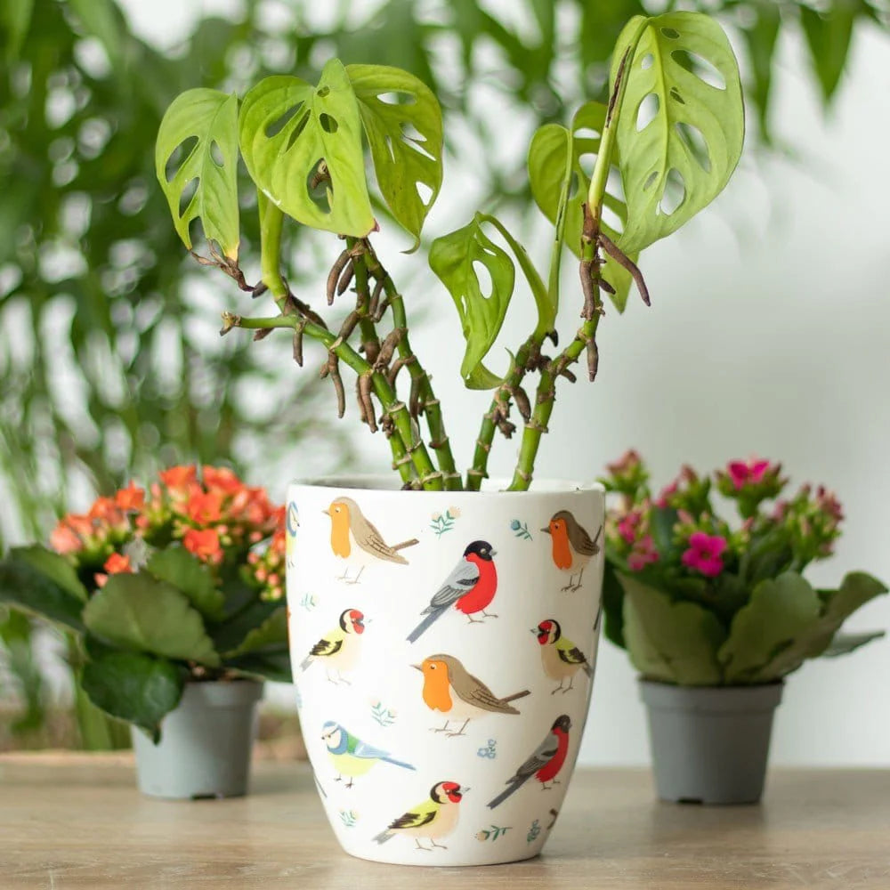 Garden Birds Plant Pot