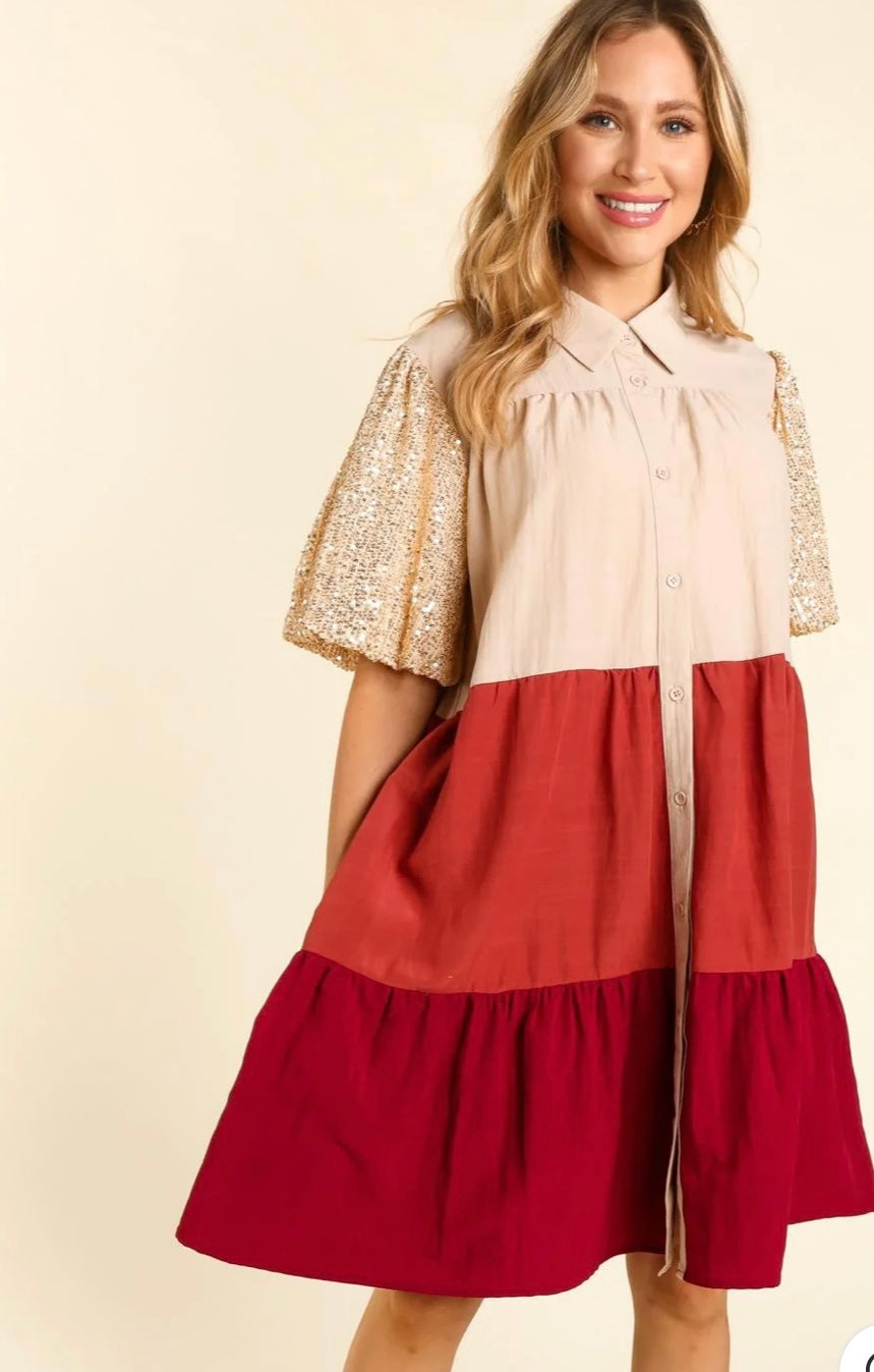 Color Block Sequin Sleeve Dress