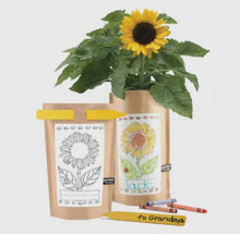 Load image into Gallery viewer, Sunflower in a Bag Growing Kit