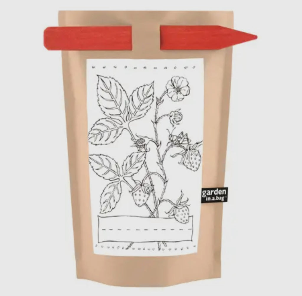 Strawberry Garden in A Bag