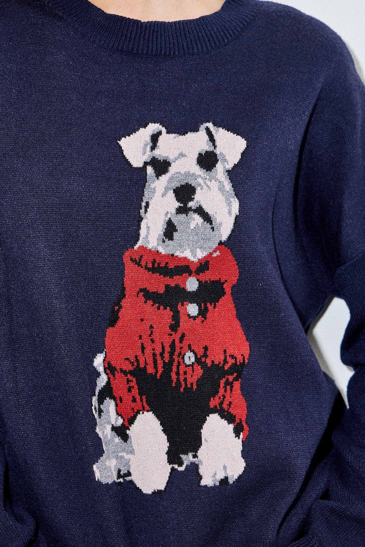 Schnauzer Sweater